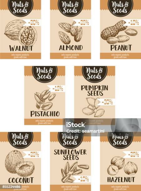 Ilustración de Carteles De Esbozo De Precio Vector De Frutos Secos Y Semillas De Frutas y más Vectores Libres de Derechos de Cacahuete - Fruto seco