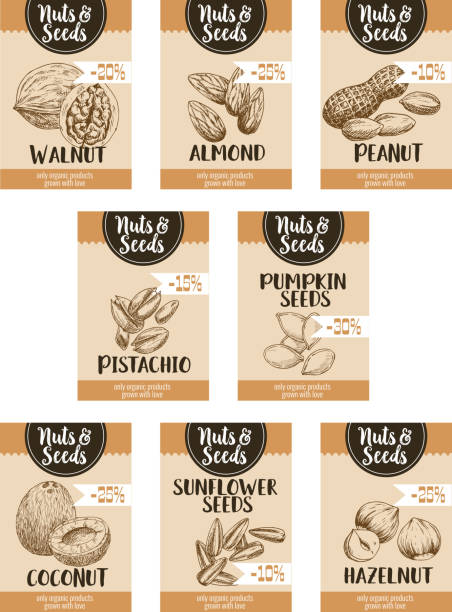 векторный ценовой эскиз плакатов из орехов и фруктовых семян - nut walnut almond brazil nut stock illustrations