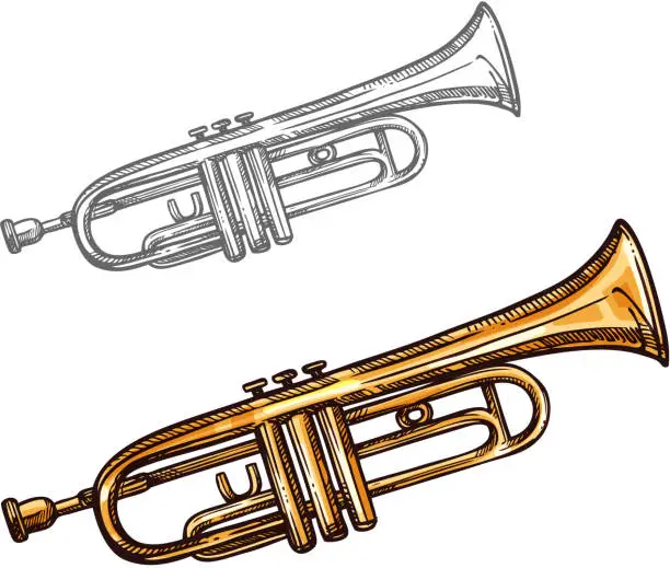 Vector illustration of Vector sketch trumpet musical instrument