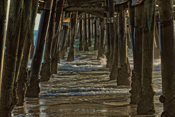 istock Under the Pier, San Clemente, California 855227294