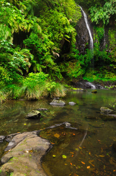 waterfall at amber mountain national park, madagascar - amber imagens e fotografias de stock