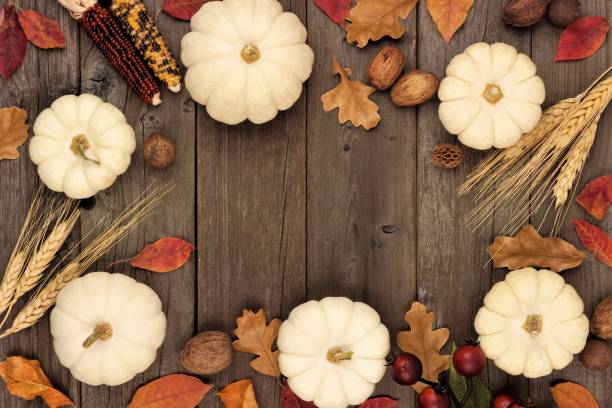 Autumn frame with leaves and white pumpkins over wood
