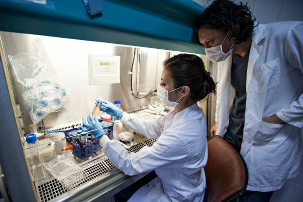 femmes en tige - virus laboratory biotechnology cell photos et images de collection