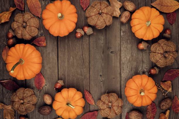 istock Autumn frame of pumpkins, leaves and rustic decor on wood 855239956