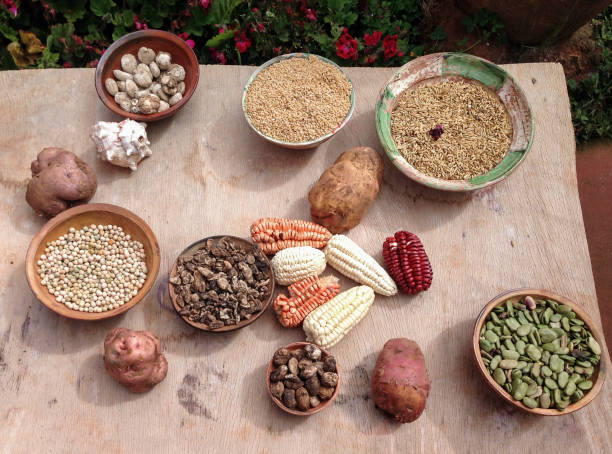 Table of traditional Peruvian food, including maize, potato, beans, and grains