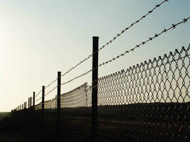 istock landscape with barbed wire /fence on sunset 855249638