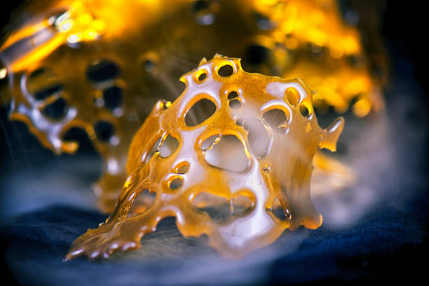 Cannabis extraction - golden shatter stock photo