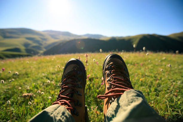 istock hiker legs hiking in grassland mountains top 855280270