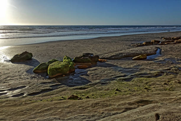 These boulders on Torrey Pines State Beach are covered in green algae.  It's an interesting color to find on the beach.
