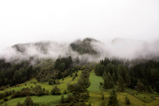 wald und berg im naturpark kaunergrat - kaunertal stock-fotos und bilder