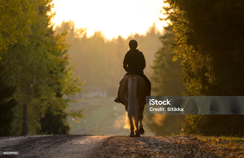 Équitation de femme en automne - Photo de Monter à cheval libre de droits