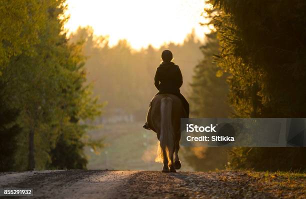 Photo libre de droit de Équitation De Femme En Automne banque d'images et plus d'images libres de droit de Monter à cheval - Monter à cheval, Cheval, Femmes