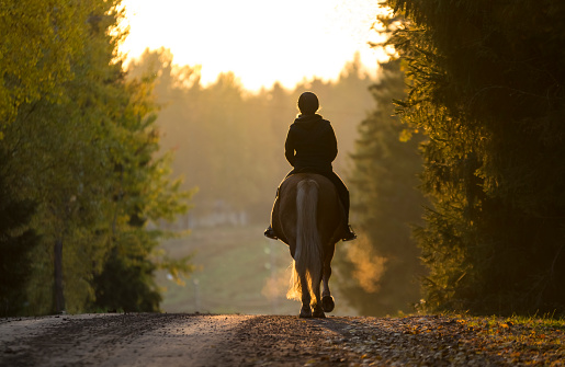 Woman horseback riding in autumn