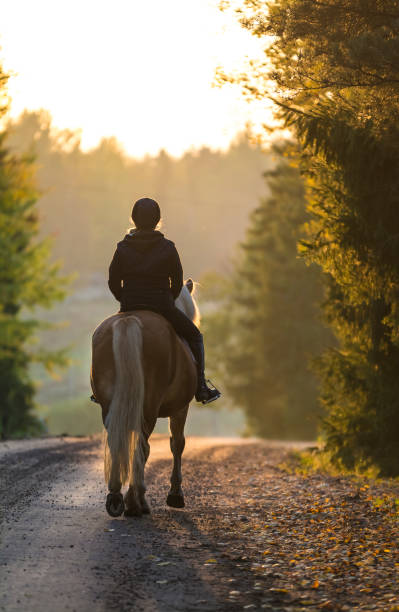 istock Woman horseback riding in autumn 855292218