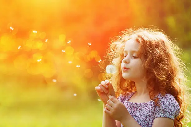 Photo of Curly girl blowing white dandelion in meadow.