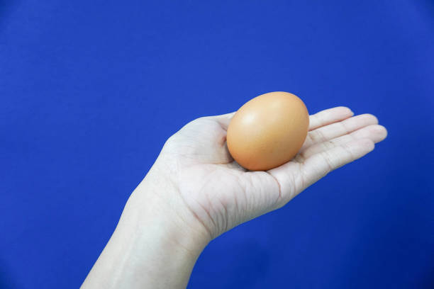 istock hold an egg on the woman hand 855294962