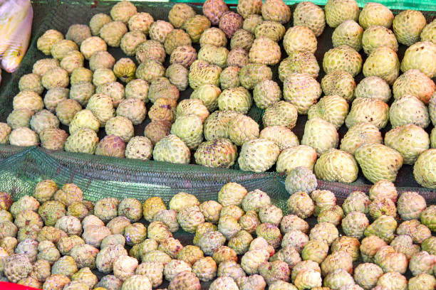 istock Many custard apple green in a basket 855301748