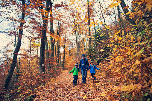 Father with three kids hiking in beautiful autumn forest. The little girl is aged 8 and her brothers are aged 5. 