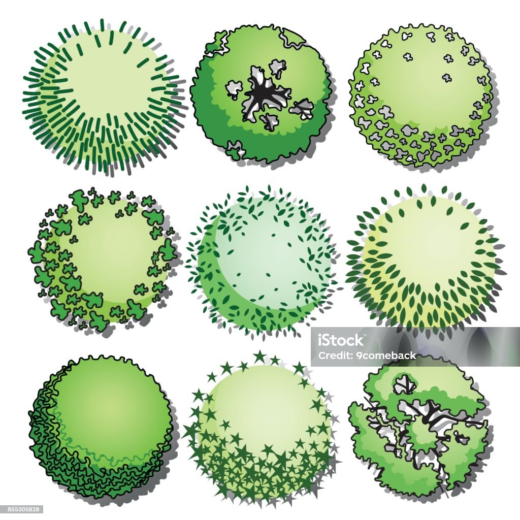 Tree top Set of trees and shrubs color. Top view. use in your landscape design.vector illustration Plan - Document stock vector