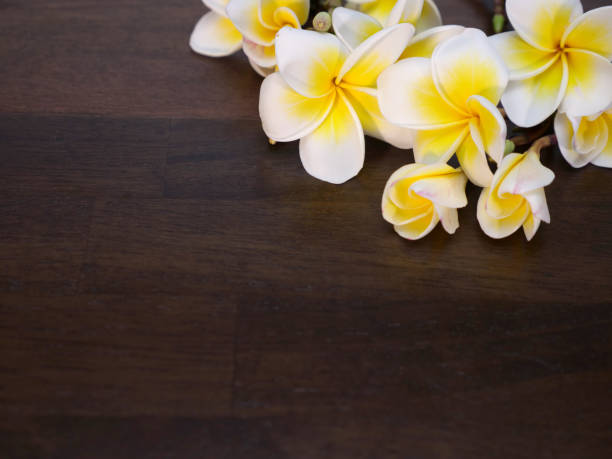 istock tropical flowers in blooming 855307072