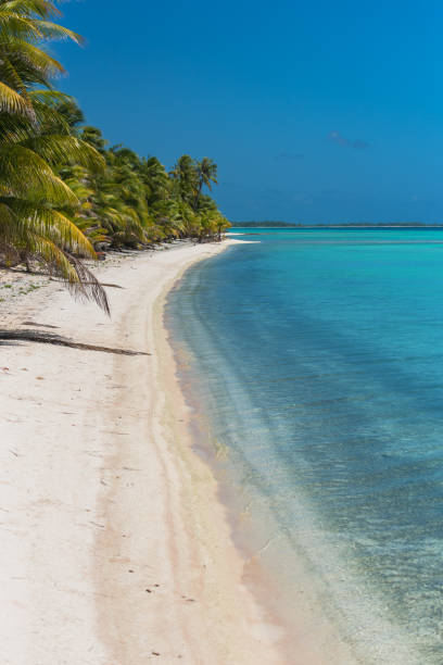 istock Pink sandy beach in French Polynesia 855314584