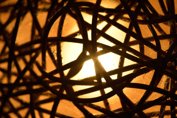 istock Lamps made from bamboo, Handmade in thailand 855315040