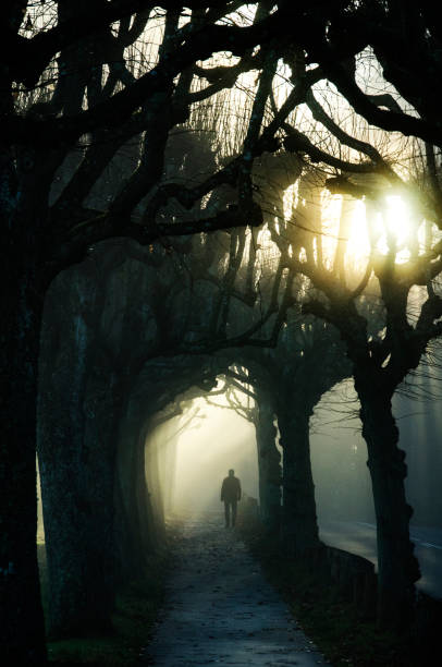 istock Man going through the fog out in the light 855315178