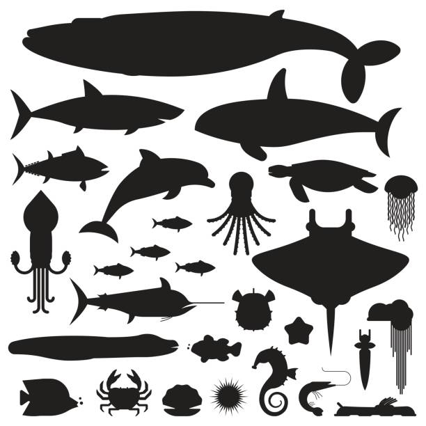 Sea Life and Underwater Animals Icons Underwater animals and sea creatures label templates. Ocean and marine fishes and other aquatic life silhouette collection. Blue whale, devilfish, dolphin, orca, octopus, mollusks icons. aquatic mammal stock illustrations