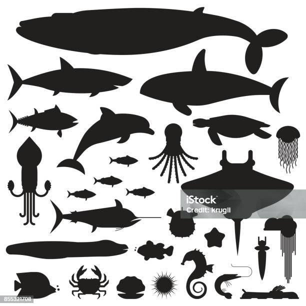 Sea Life And Underwater Animals Icons Stock Illustration - Download Image Now - In Silhouette, Sea Life, Sea