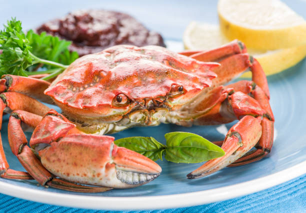 istock Seafood dish - cooked crab with lemon and herbs. 855326924