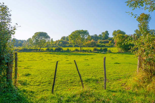 istock Panorama of a green meadow on a hill in sunlight at fall 855328060