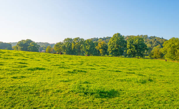 istock Panorama of a green meadow on a hill in sunlight at fall 855330286