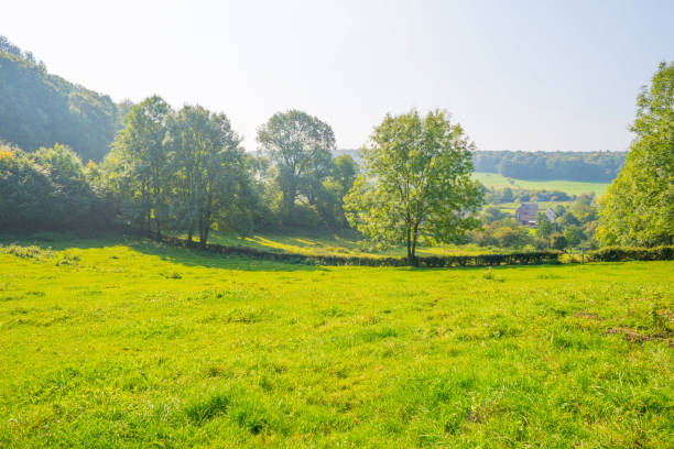 istock Panorama of a green meadow on a hill in sunlight at fall 855330896