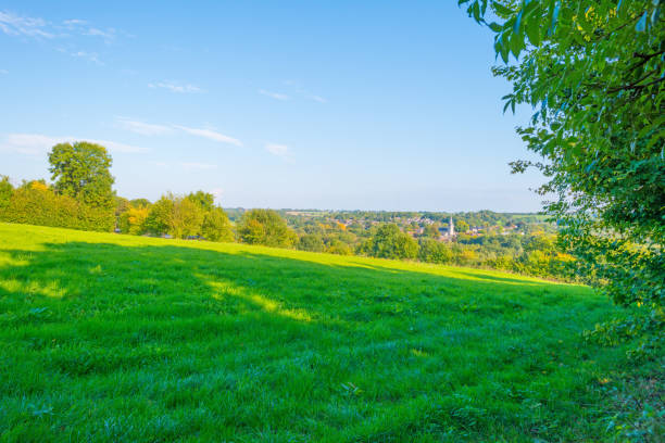 istock Panorama of a green meadow on a hill in sunlight at fall 855336718