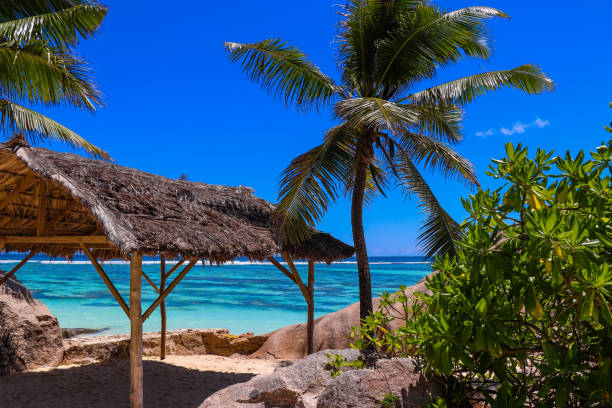 istock Anse Source D'Argent paradise beach - the most beautiful beach in the world. La Digue island. Indian ocean. Seychelles. East Africa 855337044
