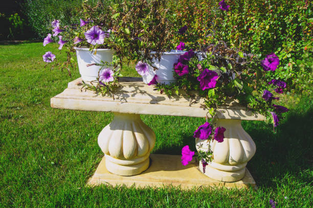 flower pots on antique bench in the garden