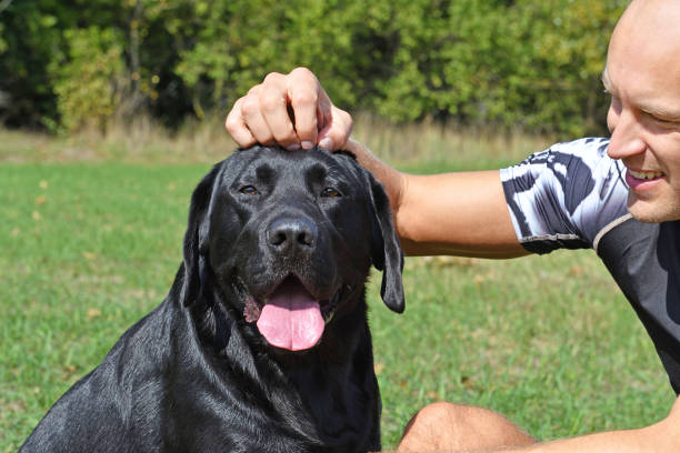 istock Black dog with boy in the park at sunny day. 855337968
