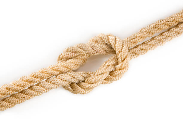 istock image of knot on white background closeup 855338224
