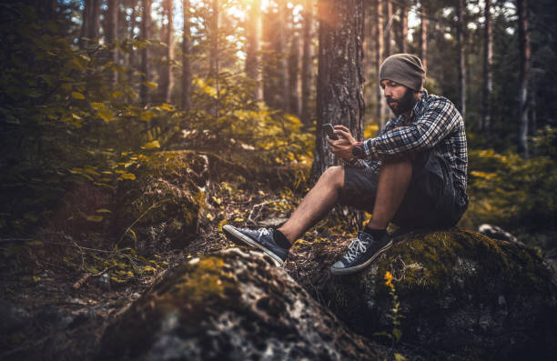 istock Traveler using smart phone sitting in the forest at sunset 855345818