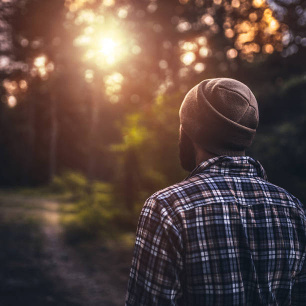 istock Traveler walking alone in the misty forest at sunset 855346038