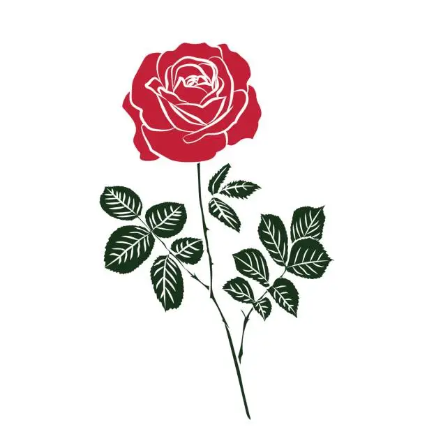 Vector illustration of silhouette of rose