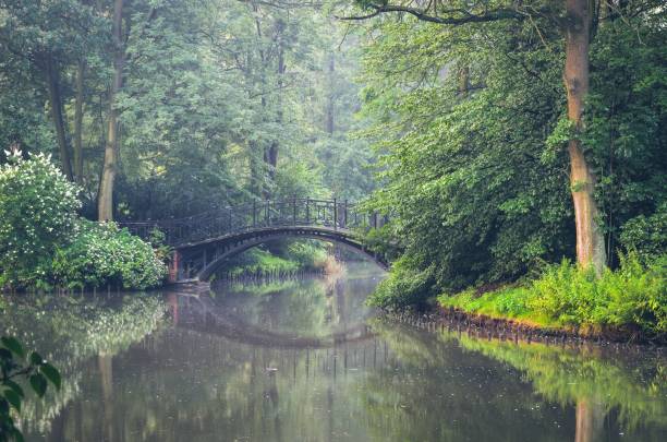 istock Green park in the morning. 855360980