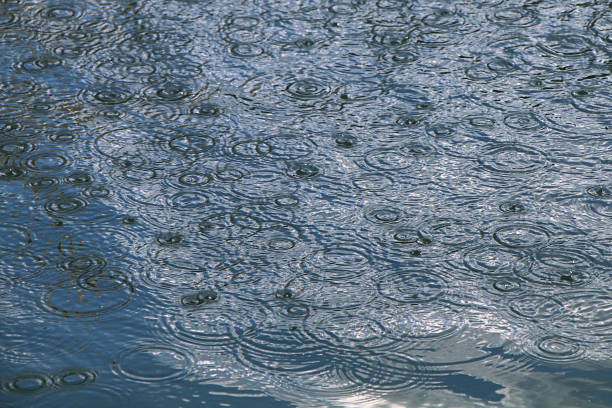 istock Circles on the water. Rain. Drops of rain fall on the puddle 855364936