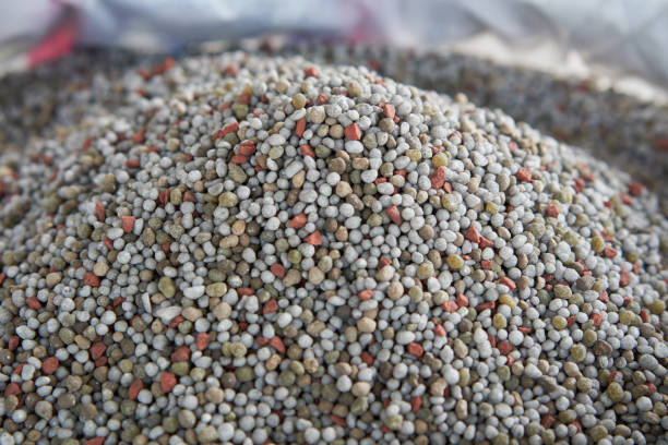 istock Chemical Fertilizer or Organic Fertilizer 855379206