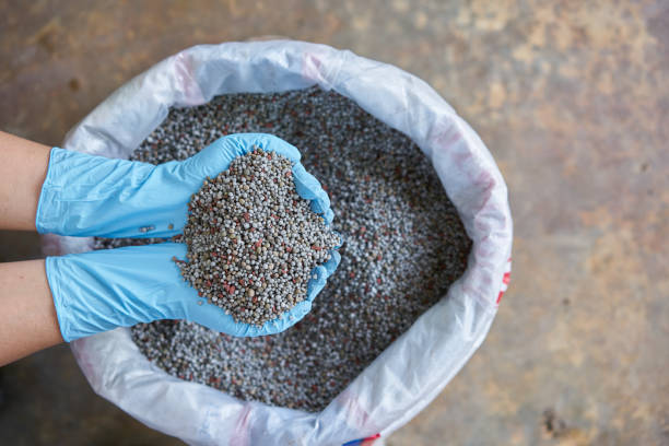 istock Chemical Fertilizer or Organic Fertilizer 855379224
