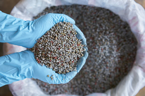 istock Chemical Fertilizer or Organic Fertilizer 855379234