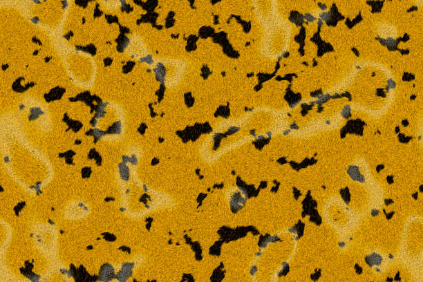 istock closeup of photo, computer generated animal skins texture spots 855389596