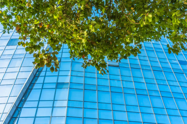istock Details of a modern office building with leaves 855389606