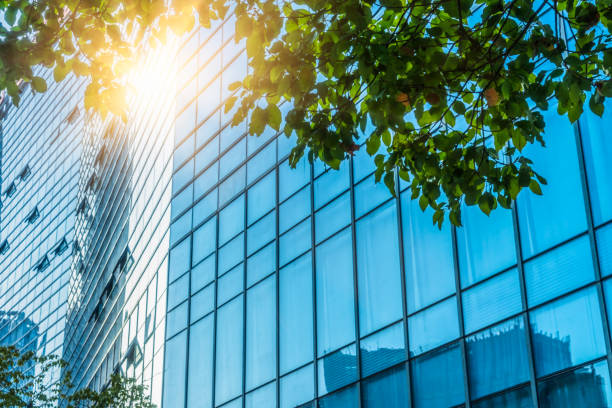 istock Details of a modern office building with leaves 855390476