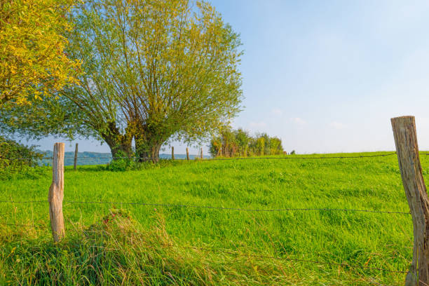 istock Panorama of a green meadow on a hill in sunlight at fall 855406804